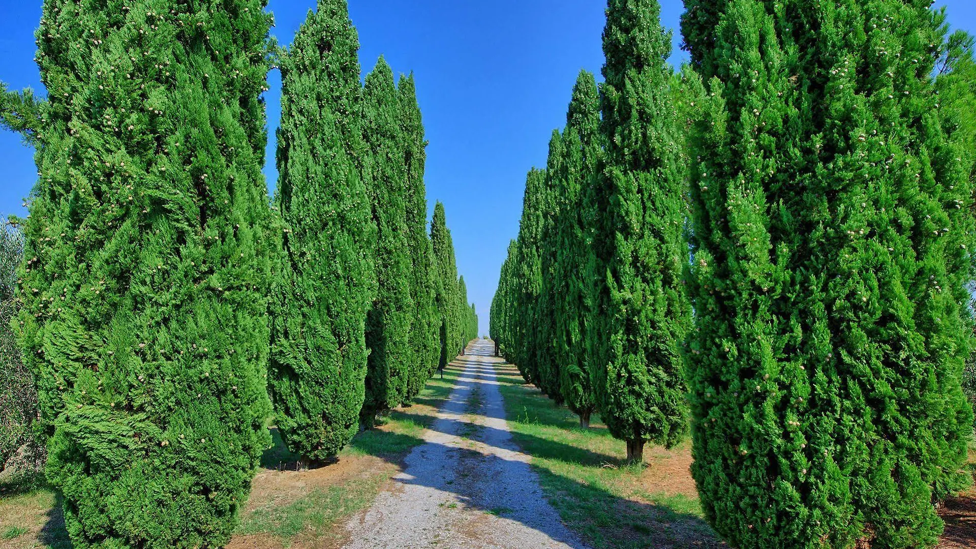 Holiday Home Casale Giulio By Posarellivillas Cetona