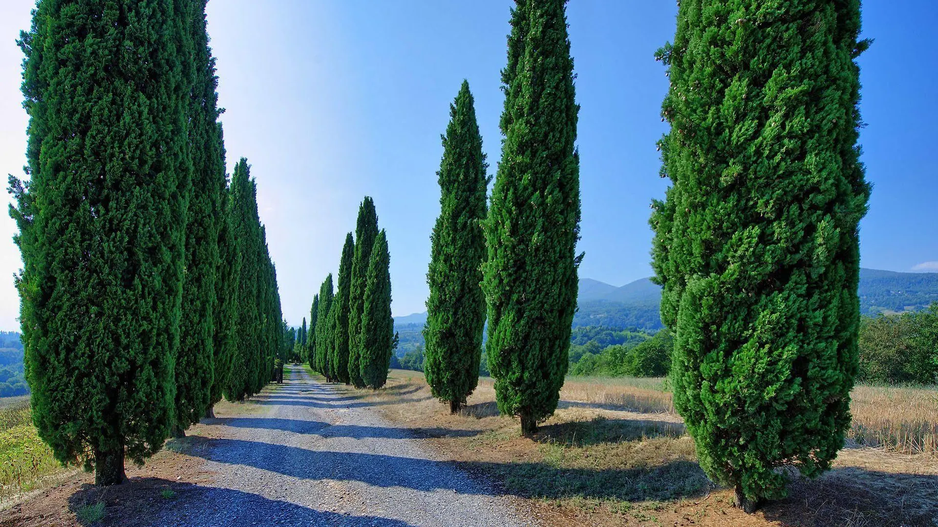 Holiday Home Casale Giulio By Posarellivillas Italy